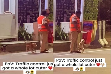 நடுரோட்டில் போலீசாரிடம் வம்பிழுக்கும் நாய்... இணையத்தில் வைரலாகும் காட்சி