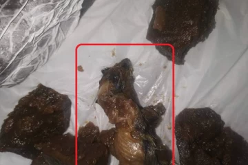 சிவனொளிபாதமலை யாத்திரிகர்கள் வாங்கிய உணவில் இறந்த எலி!