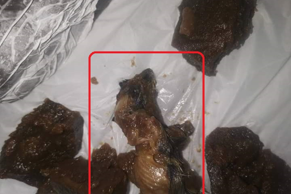 சிவனொளிபாதமலை யாத்திரிகர்கள் வாங்கிய உணவில் இறந்த எலி! - ஐபிசி தமிழ்