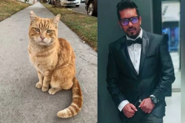 பூனையை காப்பாற்ற முயன்ற நபர் பரிதாபமாக உயிரிழப்பு