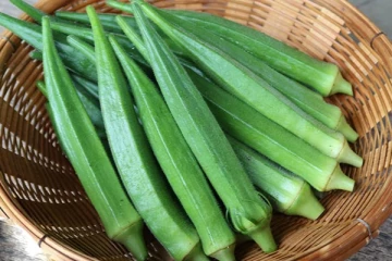 சுகரை ஓட ஓட விரட்டும் வெண்டைக்காய்: வெயில் காலத்தில் சாப்பிட்டால் ஆபத்தா?