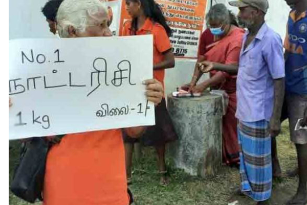 யாழில் ஒரு கிலோ அரிசி ஒரு ரூபாய் | A Kilo Of Rice In Jaffna Costs One Rupee
