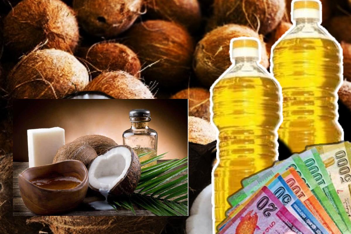 தேங்காய் எண்ணெய் விற்பனையில் புதிய கட்டுப்பாடு | Ban Sale Of Unpackaged Coconut Oil Price
