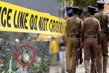 கொழும்பின் முக்கிய பகுதியில் மனித எலும்புக் கூடுகள் கண்டுபிடிப்பு