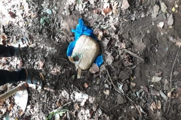 யாழில் கஞ்சாவுடன் மூவர் கைது (Photos)