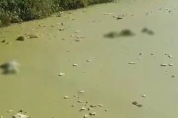 சோகத்தில் முடிந்த காதலனின் பிறந்த நாள் சர்ப்ரைஸ் - குளத்தில் மிதந்த 3 உடல்கள்