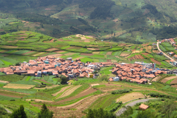 தமிழகத்தில் உள்ள மிகப்பெரிய மாவட்டம்.., எது தெரியுமா? | Which Is The Largest District In Tamil Nadu