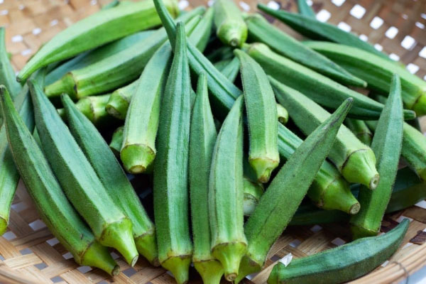 எடை குறைப்புக்கு சிறந்த காய்கறி | Best Vegetable For Weight Loss