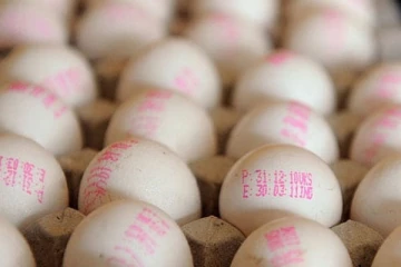 இந்தியாவில் இருந்து இறக்குமதி செய்யப்பட்ட முட்டைகள் தொடர்பில் வெளியான தகவல்