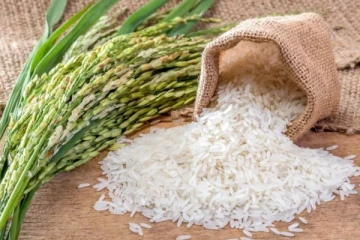 அரிசி உற்பத்தியில் முன்னெடுக்கப்பட்டுள்ள புதிய நடவடிக்கை