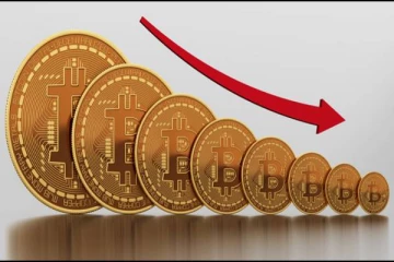 தொடர் சரிவை சந்தித்த பிட்காயின் மதிப்பு - முதலீட்டாளர்கள் செய்ய வேண்டியது என்ன?