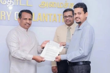 තේ කර්මාන්තයේ විශාල පෙරළියක් – ආණ්ඩුව ක්‍රියාත්මක කළ නව වෙනස මෙන්න