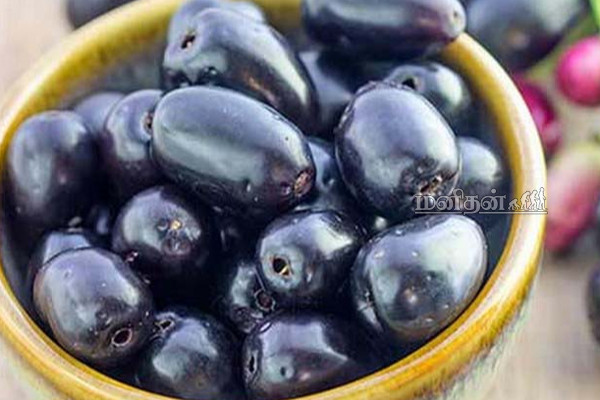 நீரிழிவு நோயை ஓட ஒட விரட்டும் ஒரே ஒரு பழம்! விதையை தூக்கி வீசிறாதீங்க | Jamun Fruit Diabetes Benefits In Tamil