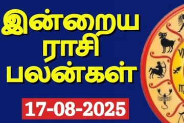 இன்றைய ராசி பலன்(17-08-2025)