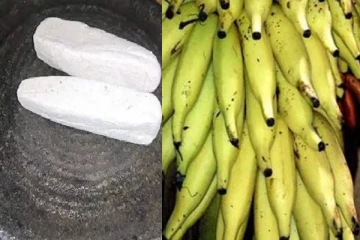 ஜடேரி நாமக்கட்டி,செடிபுட்டா சேலை, மட்டி வாழைப்பழம் ஆகிய 3 பொருட்களுக்கு புவிசார் குறியீடு..!