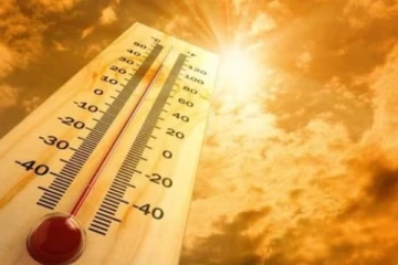 இங்கிலாந்தில் கடும் வெப்பம் ; வானிலையில் வரலாற்றுத் திருப்பம்