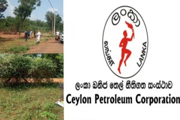 விடுவிக்கப்பட்ட காணிகளுக்காக உரிமம் கோரும் பெட்ரோலிய கூட்டுத்தாபனம் : மறுக்கும் காணி உரிமையாளர்கள்