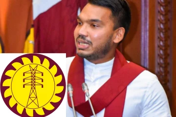 நாமலின் திருமணத்திற்கான மின் கட்டணம் இன்னும் செலுத்தப்படவில்லை - நளின் ஹேவகே