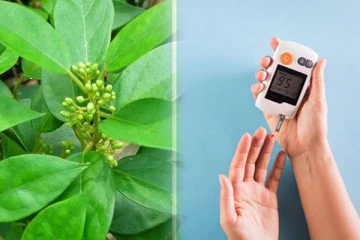 சர்க்கரை நோயை அழிக்கும் சிறுகுறிஞ்சான்? எப்படி எடுத்து கொண்டால் நன்மை தரும்?