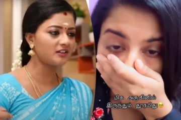 சிறகடிக்க ஆசை மீனா கண்கலங்கி வெளியிட்ட வீடியோ.. அதிர்ச்சியில் ரசிகர்கள்