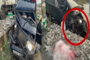 மீனுடன் வந்த வாகனம் மோதி விபத்து:பலத்த காயங்களுடன் சாரதி வைத்தியசாலையில் அனுமதி(படங்கள்)