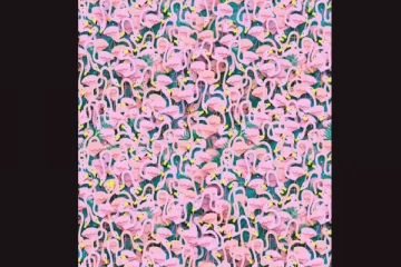 Optical illusion: 10 நொடிகளில் மறைந்திருக்கும் நடன பெண்ணை முடிந்தால் கண்டுபிடியுங்கள்