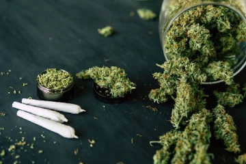 ஜேர்மனில் கஞ்சா சட்டபூர்வமாகிறதா?