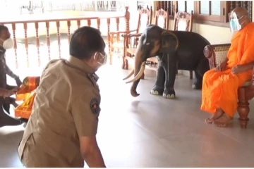 மகாநாயக்க தேரர்களை சந்தித்த காவல்துறைத் தலைவர்களிடம் விசாரணை செய்ய கோரிக்கை!