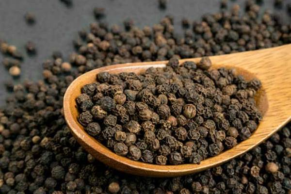 குளிர்காலத்தில் உதவி கரம் நீட்டும் கருப்பு மிளகு- யாரெல்லாம் சாப்பிடலாம்? | Benefits Of Black Pepper குளிர்காலத்தில் உதவி கரம் நீட்டும் கருப்பு மிளகு- யாரெல்லாம் சாப்பிடலாம்? | Benefits Of Black Pepper