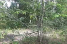 முள்ளியவளையில் பாழடைந்த கிணற்றிலிருந்து மனித உடல்பாகங்கள் கண்டுபிடிப்பு