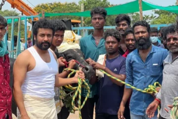 வாடிவாசல் படத்திற்காக நடிகர் சூர்யா வாங்கியுள்ள சம்பளம்.. எவ்வளவு தெரியுமா