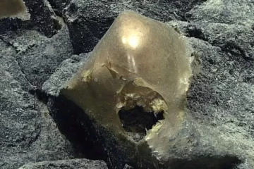 கடலுக்கு அடியில் கண்டுபிடிக்கப்பட்ட மர்மமான தங்க முட்டை