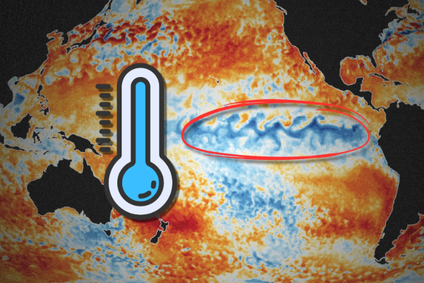 லா நினா வருடத்தில் இலங்கையை தாக்கிய பேரழிவு - அரசாங்கம் தடுமாறியது எங்கே..! | Ditwah Cyclone Sri Lanka Major Disaster லா நினா வருடத்தில் இலங்கையை தாக்கிய பேரழிவு - அரசாங்கம் தடுமாறியது எங்கே..! | Ditwah Cyclone Sri Lanka Major Disaster