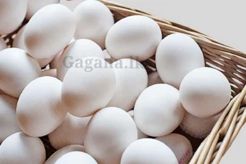 බිත්තර ගැන ගත්ත තීරණය..