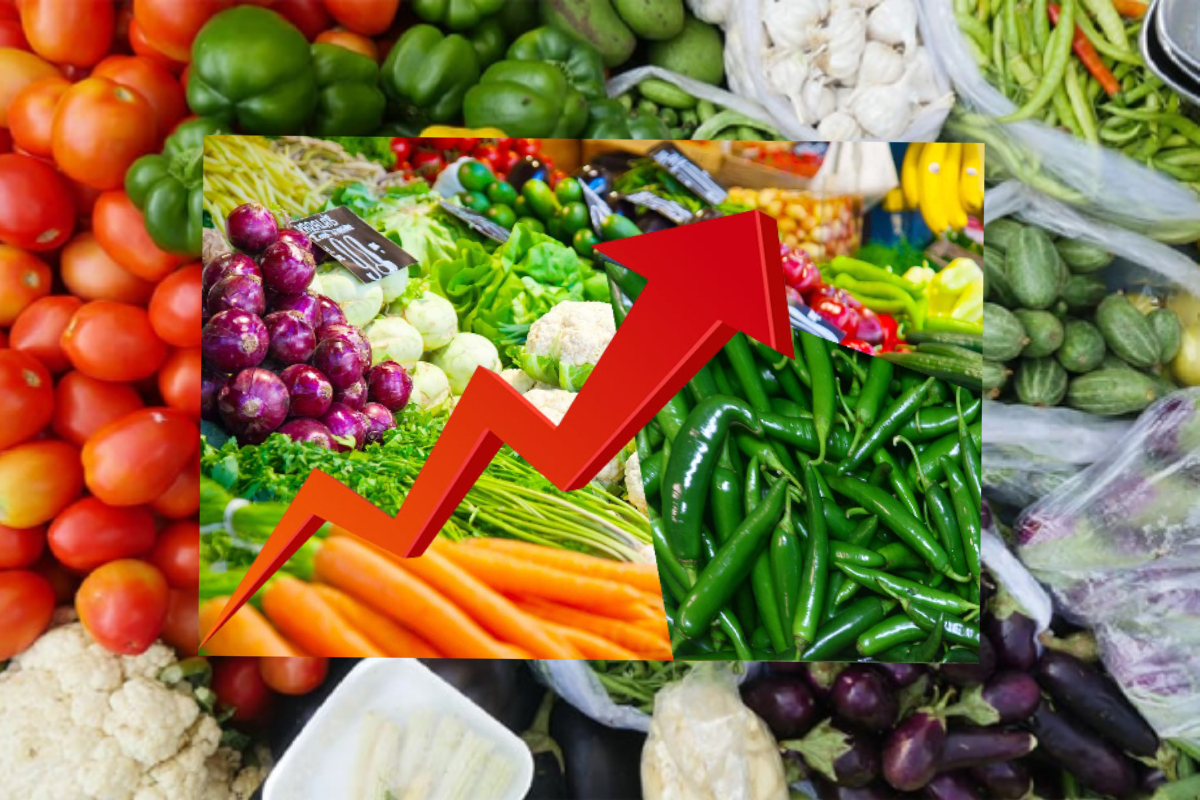 நாட்டில் மரக்கறி விலைகளில் ஏற்படவுள்ள மாற்றம் | Vegetable Prices Likely To Rise Due Bad Weather நாட்டில் மரக்கறி விலைகளில் ஏற்படவுள்ள மாற்றம் | Vegetable Prices Likely To Rise Due Bad Weather