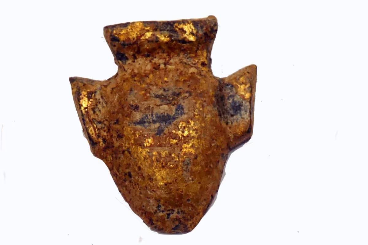 எகிப்திய மம்மிகளில் கண்டுபிடிக்கப்பட்டுள்ள வியப்பூட்டும் புதியதொரு விடயம் | Golden Tongues Discovered In Mummies Egypt Tomb