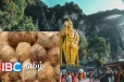 வெளிநாடொன்றிலும் உச்சம் தொட்ட தேங்காய் விலை