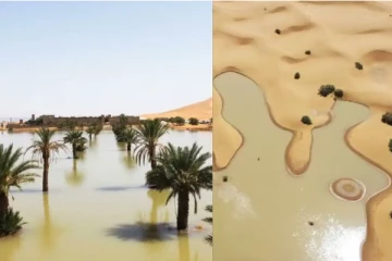 50 ஆண்டுகளில் இல்லாத கனமழை - வெள்ளத்தில் மிதக்கும் சஹாரா பாலைவனம்