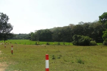 காணி உறுதிப் பத்திரம் உள்ள தனியார் காணியில் நெல் பயிரிட கமநல சேவைகள் நிலையம் இடையூறு