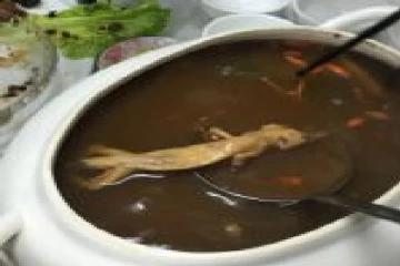 ஒரு குடும்பத்தை சேர்ந்த ஆறு பேரை கொன்ற பல்லி!