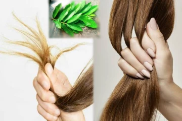 எலி வால் போல் முடி இருக்கா? அடர்த்தியான கூந்தலுக்கு இந்த ஒரு இலை போதும்