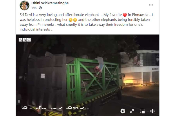 මා අසරණ වුණා...එක් පුද්ගලයෙකුගේ බලහත්කාර තීරණ නිසා..ඉල්ලා අස්වූ ඉෂිනි කියයි.. | Ishini Statement About Her Risining Reason