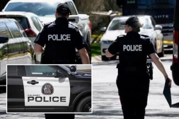 ஆயுத முனையில் கார் கடத்தல்: கனடாவில் தமிழ் தம்பதியினர் கைது