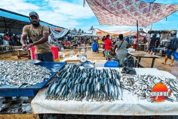 මාලු මිල ඉහළ යයි - හිටපු ධීවර ඇමති අනතුරු ඇඟවයි