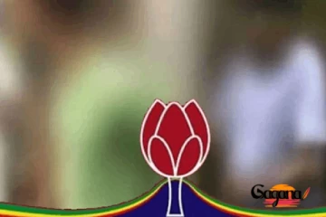 සජිත්ගේ කතා එක්ක පොහොට්ටුව අමුතු තීරණයක් ගනී