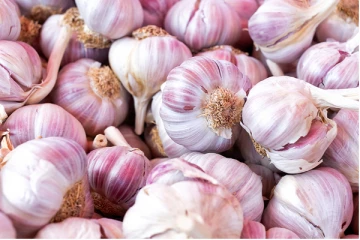 தூங்குவதற்கு முன் ஒரு பல் பூண்டு சாப்பிட்டு பாருங்க..! அவ்வளவு நன்மைகள் கிடைக்கும்..!