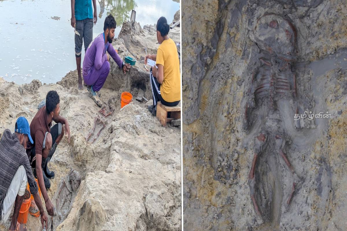 செம்மணியில் புதிதாக சிறுவன் ஒருவனின் என்புக்கூடு அடையாளம் | Skeleton Of A New Boy Identified In Semmani செம்மணியில் புதிதாக சிறுவன் ஒருவனின் என்புக்கூடு அடையாளம் | Skeleton Of A New Boy Identified In Semmani