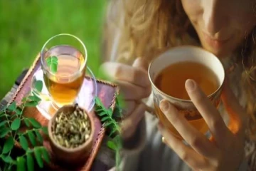 Moringa Tea: முருங்கை தேனீருக்கு இவ்ளோ பவரா? இனியும் தவிர்க்காதீங்க