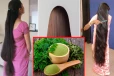 ஒரு கைப்பிடி முருங்கை இலை இருந்தால் 10 நாட்களில் முழங்கால் வரை முடி வளர்க்கலாம்!