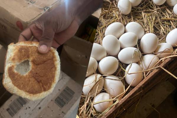 பல்லி எச்சத்தோடு இருந்த பணிஸ்! அதிகாரிகள் எடுத்த நடவடிக்கை | Legal Action Against Mannar Restaurant